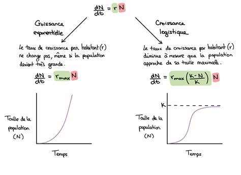 Graphique illustrant la croissance exponentielle des paramètres des modèles de langage au fil du temps