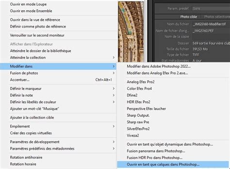 Capture d'écran montrant le panneau des calques dans PhotoFiltre