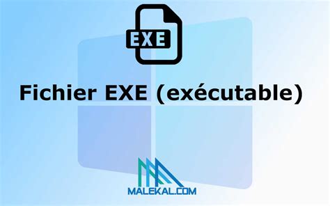 Infographie expliquant le rôle d'un fichier .exe dans le lancement d'une application
