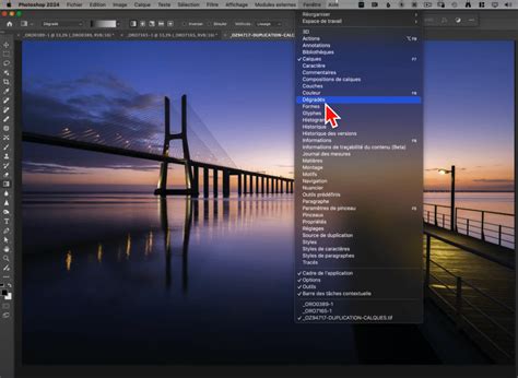 Capture d'écran montrant le menu 
