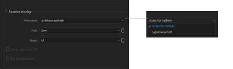 Interface des paramètres d'exportation avec des options pour les presets, la taille, l'axe Y, la densité des polygones et les UVs.