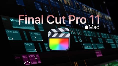 Schéma illustrant les différentes catégories d'effets disponibles dans Final Cut Pro.
