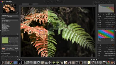 Illustration de l'interface principale de Darktable avec des modules de retouche visibles