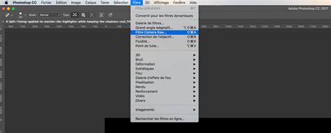 Interface du module Virage Partiel dans Lightroom
