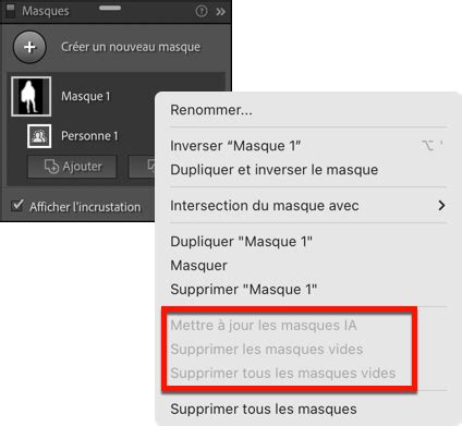 Exemple d'utilisation des masques IA dans Lightroom pour isoler des éléments