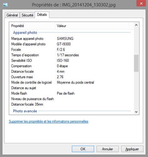 Capture d'écran montrant les métadonnées EXIF d'une photo dans un logiciel de gestion d'images.