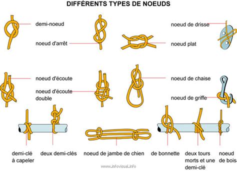 Schéma montrant les différents types de nœuds dans Inkscape et leurs poignées.