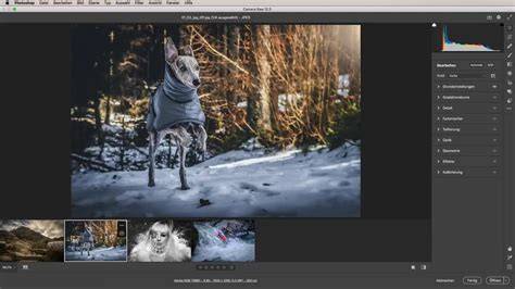 Interface de Adobe Camera Raw avec les panneaux de réglages ouverts