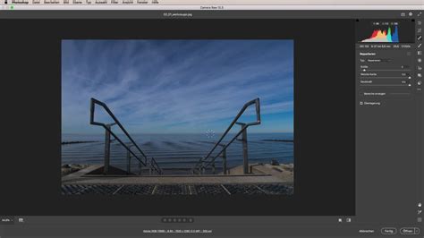 Capture d'écran montrant les différents panneaux de réglages dans Adobe Camera Raw