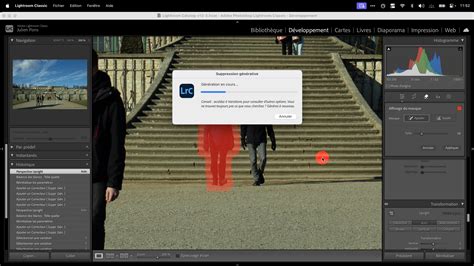 Interface de la Suppression Générative dans Lightroom Classic