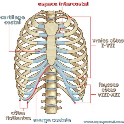 Schéma des étapes pour assembler deux images côte à côte dans Photofiltre