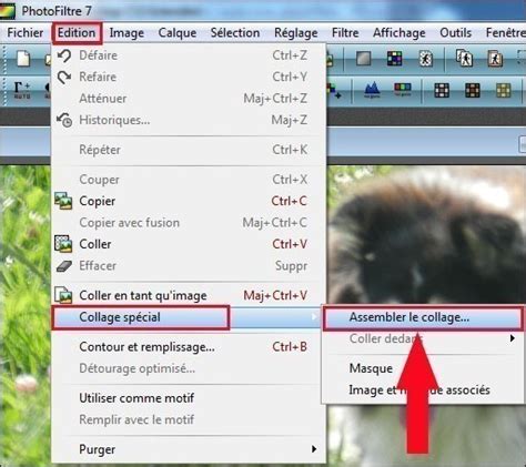 Exemple de disposition de quatre photos assemblées dans Photofiltre, deux à côté des deux autres