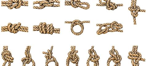 Illustration des différents types de nœuds dans Inkscape et de leurs poignées.