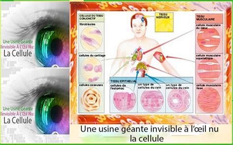 Exemple visuel montrant un texte intégré dans une image, invisible à l'œil nu.