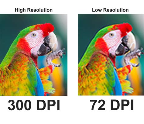 Infographie comparant la netteté d'une image à 72 dpi et 300 dpi pour l'impression.