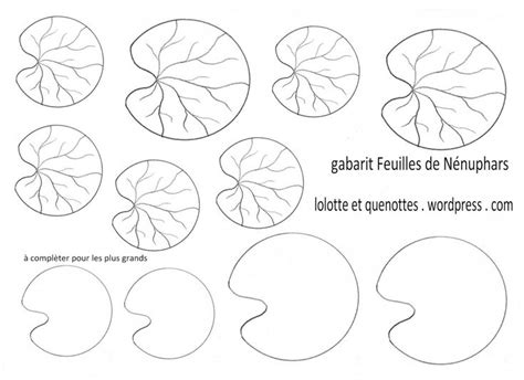Représentation 3D de la feuille de nénuphar avec ses dimensions