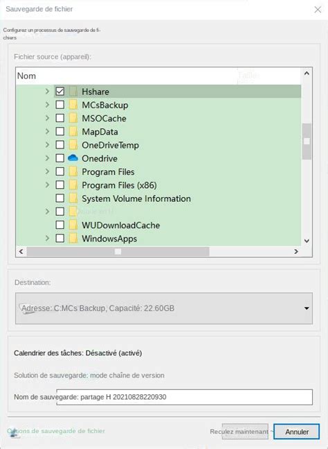 Capture d'écran montrant l'option de sauvegarde automatique dans les préférences de GIMP.