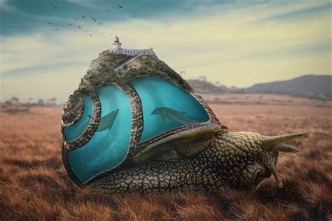 Photomontage d'un personnage avec des images symboliques disposées autour