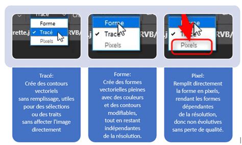 Exemple de tracé réalisé avec l'outil Plume et les options de transformation disponibles.