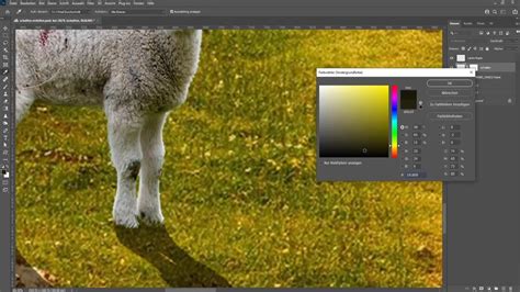 Avant et après la suppression des ombres dans Photoshop