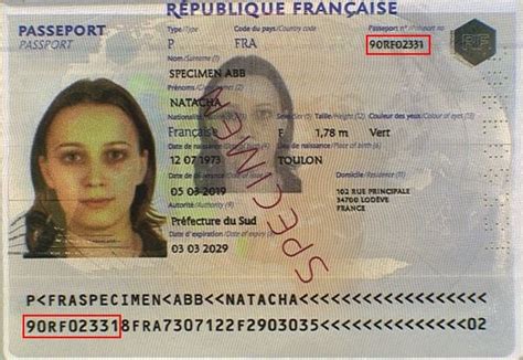 Illustration stylisée d'un passeport français avec des éléments graphiques numériques pour représenter la personnalisation et la technologie.