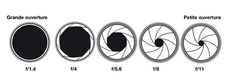 Comparaison de photos montrant l'effet de différentes ouvertures de diaphragme (f/2.8, f/4, f/5.6, f/8, f/11, f/16) sur le flou d'arrière-plan.