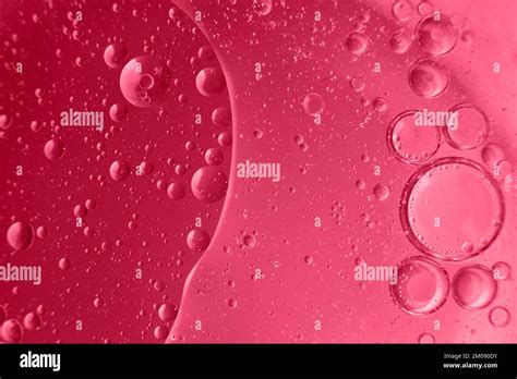 Photo macro montrant des bulles de lumière dans un arrière-plan flou, créées par la lumière du soleil filtrant à travers la végétation.