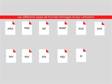 Schéma illustrant les différents formats de fichiers graphiques importables dans Flash Professional.