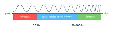 Schéma illustrant le spectre des fréquences audibles par l'oreille humaine, avec indication des basses, médiums et aigus.