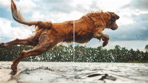 Comparaison avant/après de l'application d'un effet de stabilisation d'image