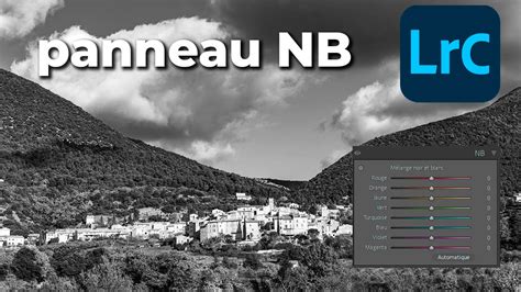 Capture d'écran du panneau Mots-clés dans Lightroom Classic avec le champ pour ajouter des mots-clés mis en évidence