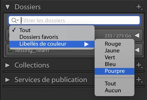 Vue du panneau Dossiers dans Lightroom Classic montrant la structure des dossiers et les informations de synchronisation