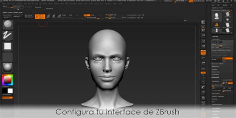 Interface de ZBrush avec des exemples de primitives et de brosses