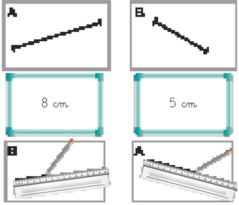 Illustration montrant la sélection et la suppression de segments de lignes superposées dans Inkscape.