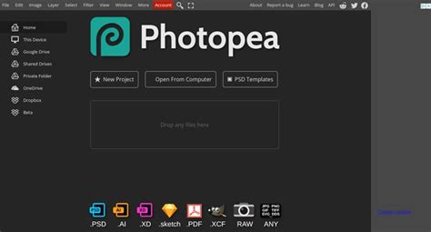 Capture d'écran de Photopea affichant un fichier PSD avec ses calques