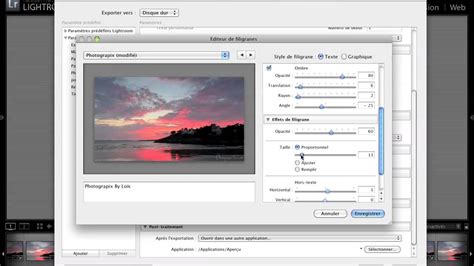 Fenêtre de l'éditeur de filigrane dans Lightroom avec les options de personnalisation.