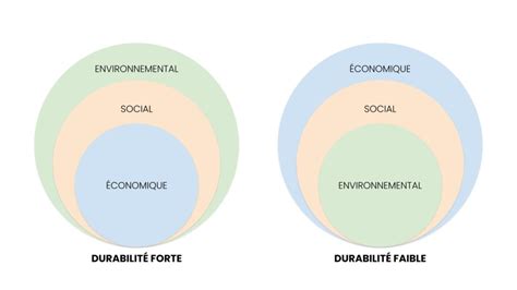 Infographie comparant la durabilité des différents types de skins pour manettes