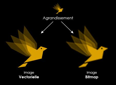 Schéma illustrant la différence de qualité entre une image bitmap agrandie et une image vectorielle agrandie.
