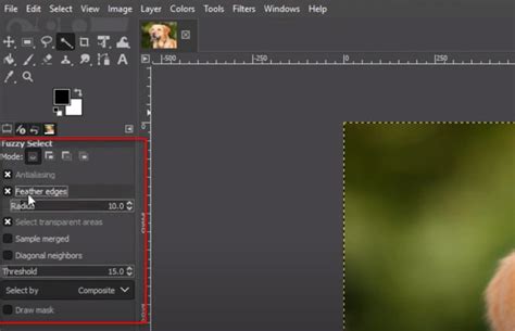 Capture d'écran de GIMP montrant l'outil de sélection floue et le motif en damier de la transparence