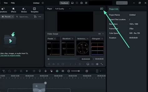 Exemples de scopes professionnels dans DaVinci Resolve (Parade, Vecteurscope, Histogramme)