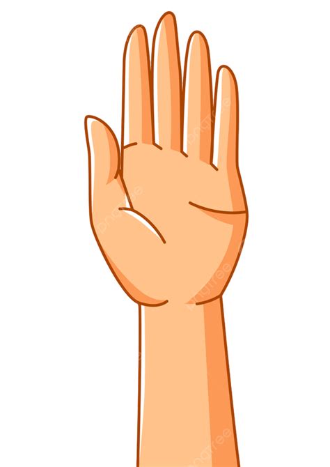 Illustration de l'outil Lasso à main levée en action, montrant la ligne de sélection tracée par l'utilisateur.