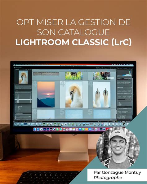 Schéma illustrant les limitations de la recherche multi-catalogues dans Lightroom