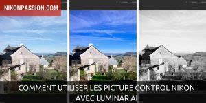 Comparaison visuelle des rendus Picture Control dans Luminar Neo