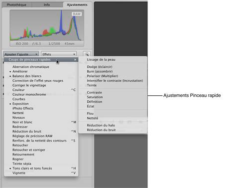 Interface du panneau des Ajustements avec l'outil Seuil sélectionné