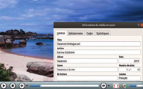 Interface d'Adobe Bridge affichant les métadonnées d'un fichier image.