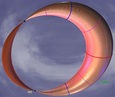 Capture d'écran montrant la réinitialisation des tangentes d'une courbe de Bézier dans 3ds Max