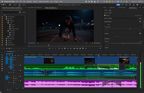 Interface du panneau Options d'effet dans Adobe Premiere Pro