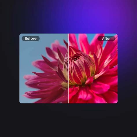 Comparaison visuelle avant/après l'amélioration de la qualité vidéo avec VidHex.