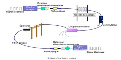 Schéma comparant la liaison et l'incorporation d'images dans un logiciel de graphisme
