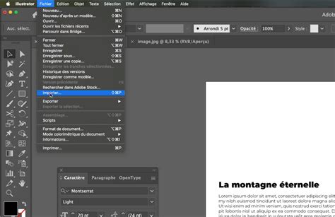 Capture d'écran du menu Fichier > Importer dans Adobe Illustrator